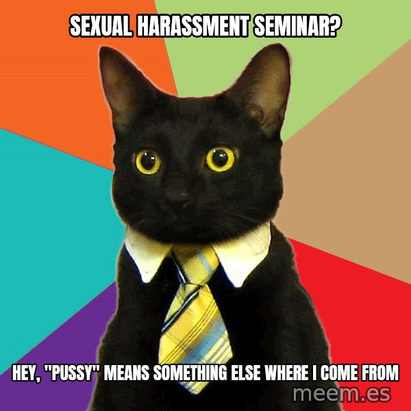 Business Cat meme: sexual harassment seminar? / hey, "pussy" means something else where i come from