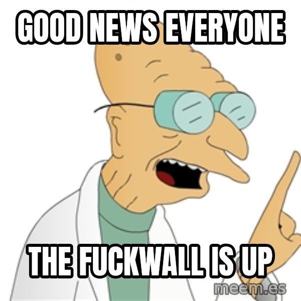Good News Everyone meme: Good news everyone / the fuckwall is up