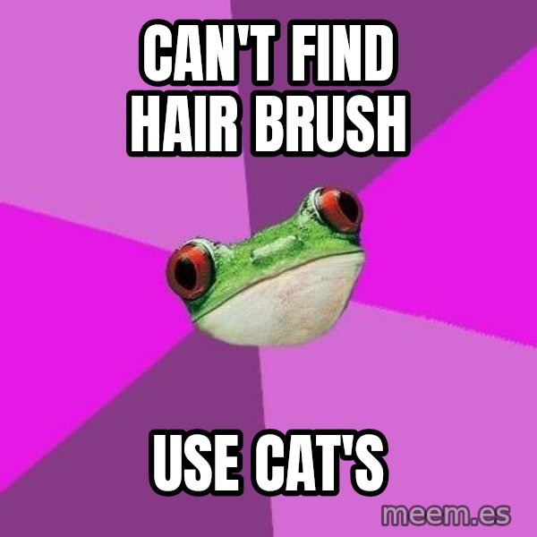 Foul Bachelorette Frog meme: Can't find hair brush / use cat's