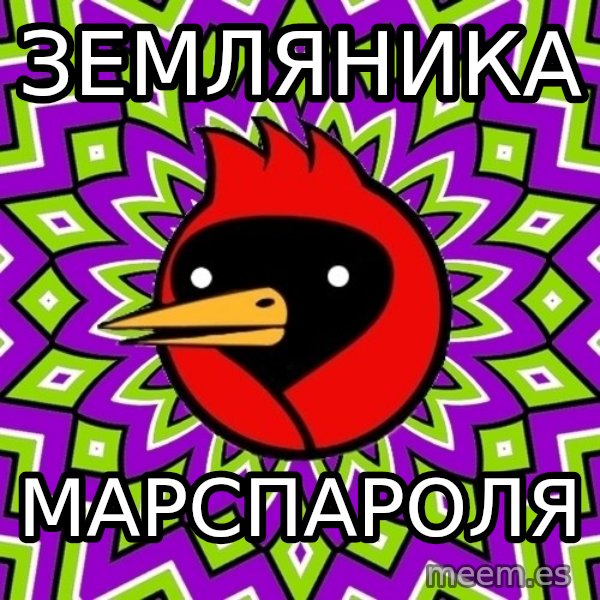 Omsk Crow meme: Земляника / марспароля