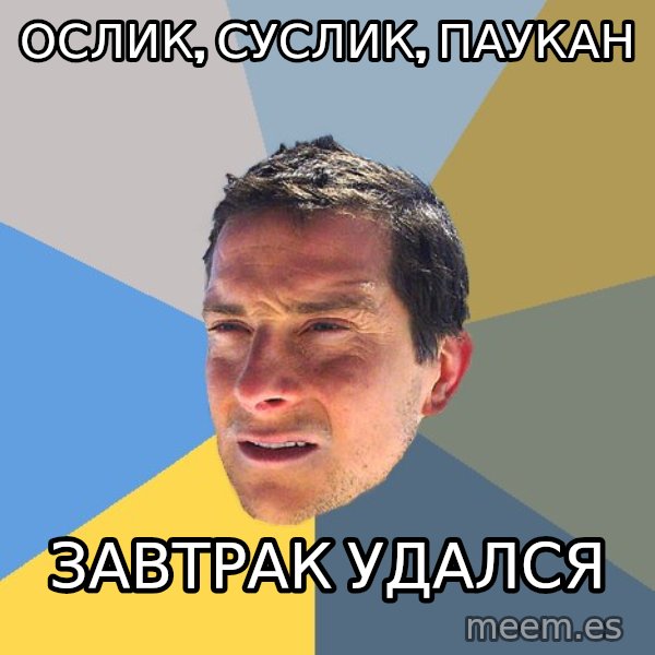 Bear Grylls meme: Ослик, Суслик, Паукан / Завтрак Удался