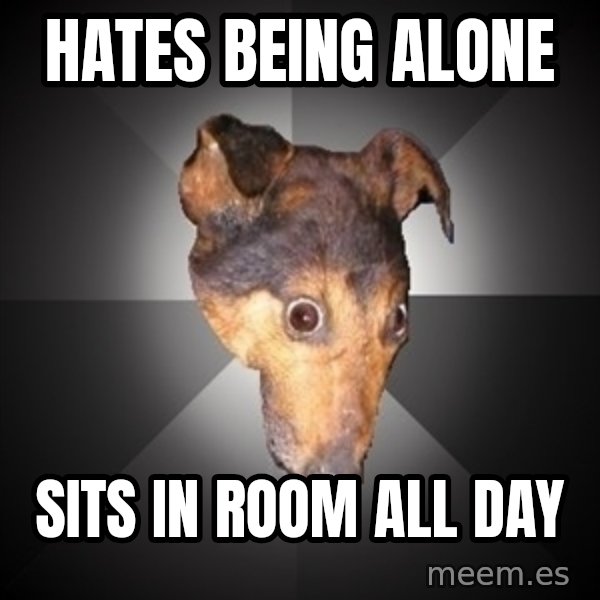 Depression Dog meme: hates being alone / sits in room all day