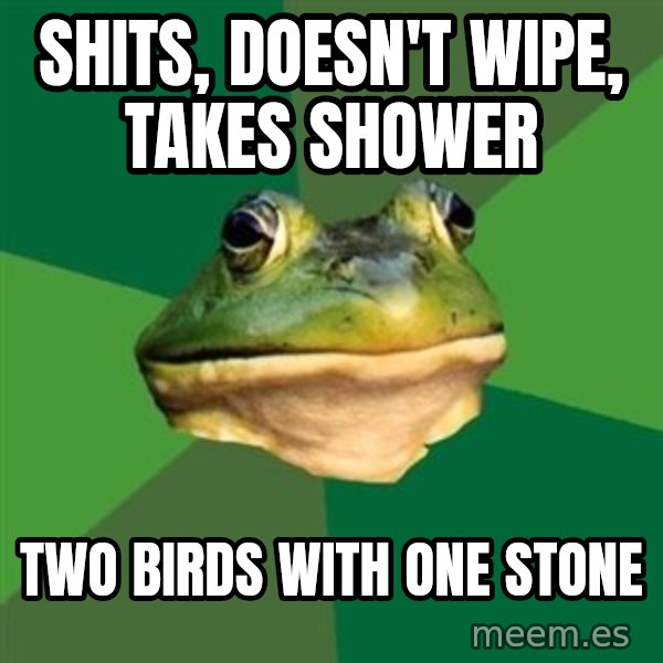 Foul Bachelor Frog meme: shits, doesn't wipe, takes shower / two birds with one stone