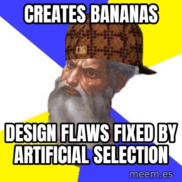 Scumbag God meme: creates bananas / design flaws fixed by artificial selection