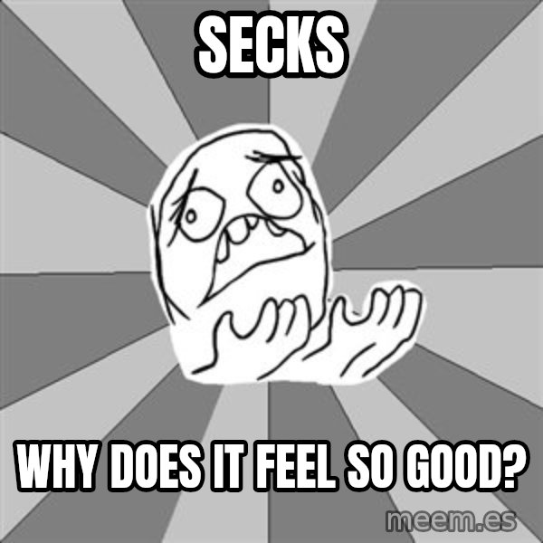 Whyyy??? meme: Secks / why does it feel so good?