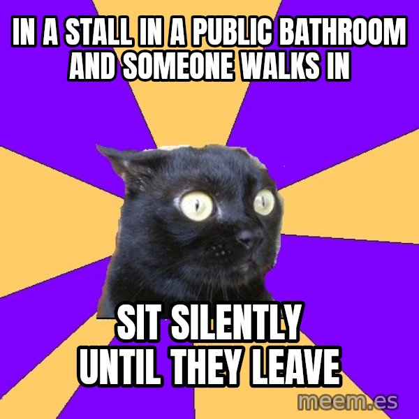 Anxiety Cat meme: In A stall in a public bathroom and someone walks in / sit silently until they leave