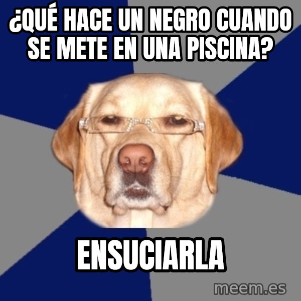 Racist Dog meme: ¿Qué hace un negro cuando se mete en una piscina? / Ensuciarla