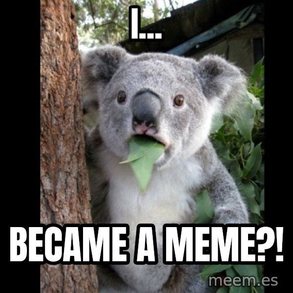 Koala can't believe it meme: I... / Became a meme?!