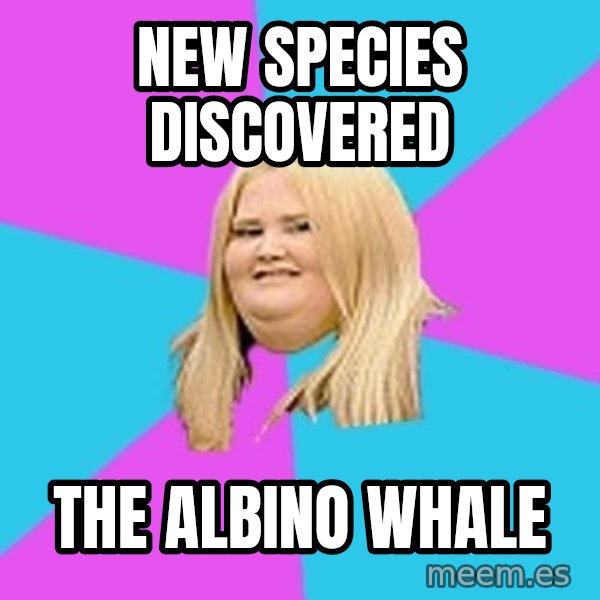 Fat Girl meme: New species discovered / The Albino Whale