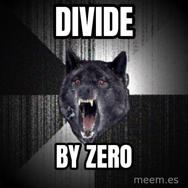 Insanity Wolf meme: divide / by zero