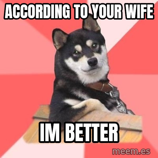 Cool Dog meme: according to your wife / im better