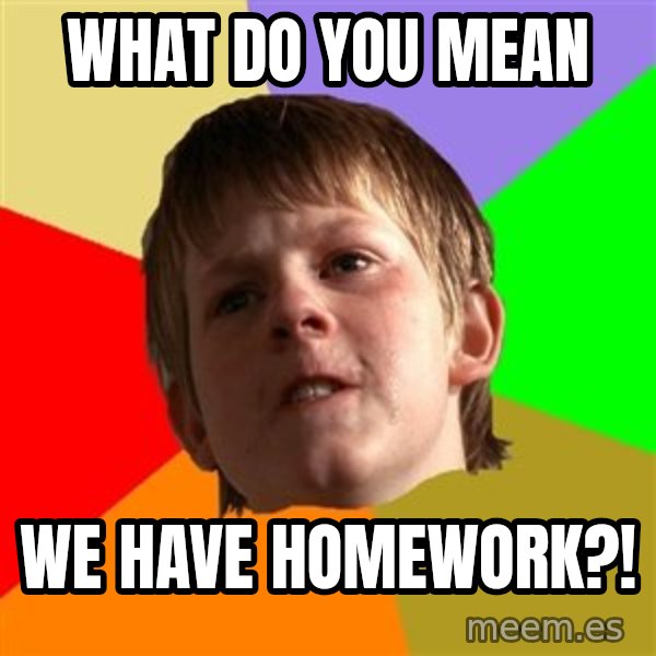 Angry School Boy meme: What do you mean / We have homework?!