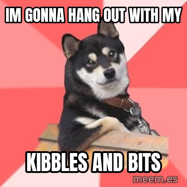 Cool Dog meme: im gonna hang out with my / kibbles and bits