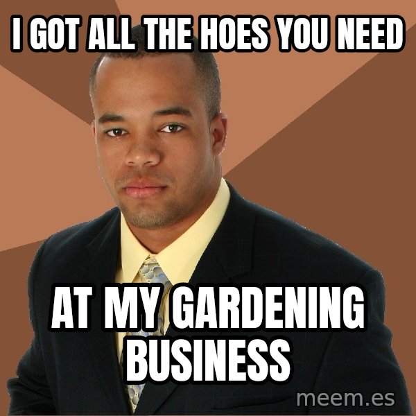 Successful Black Man meme: i got all the hoes you need / at my gardening business