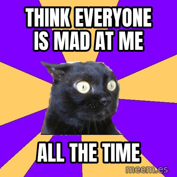 Anxiety Cat meme: think everyone is mad at me / all the time