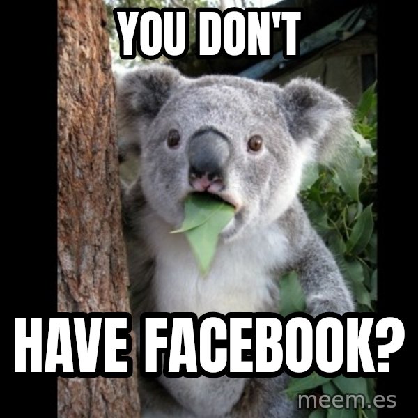 Koala can't believe it meme: you don't / have facebook?