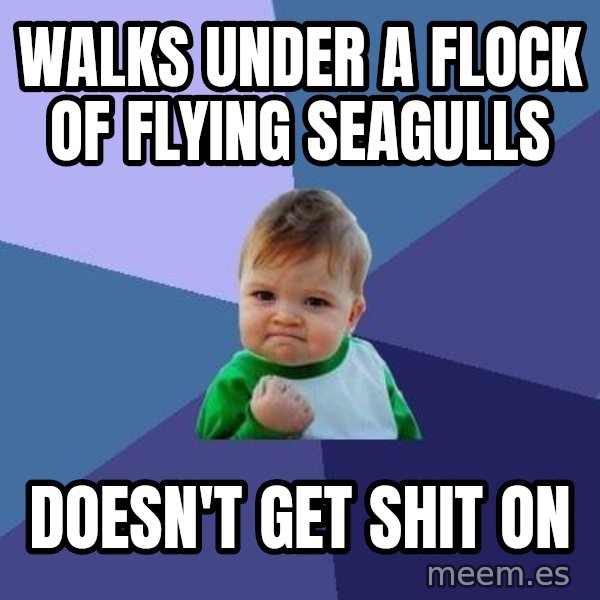 Success Kid meme: Walks under a flock of flying seagulls / doesn't get shit on