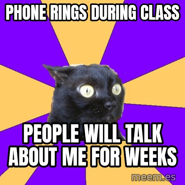 Anxiety Cat meme: Phone rings during class / People will talk about me for weeks