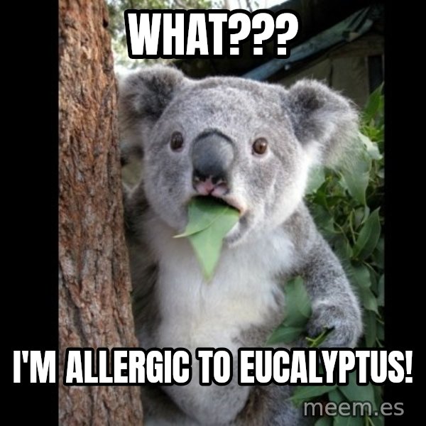 Koala can't believe it meme: What??? / I'm allergic to eucalyptus!