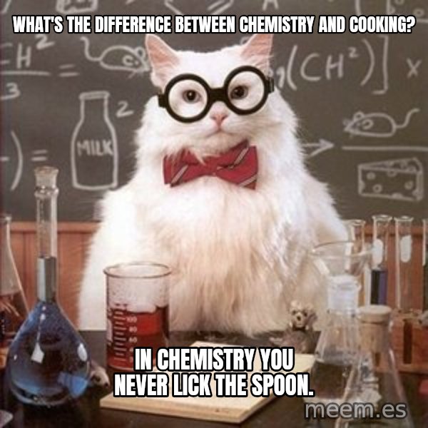 Chemistry Cat meme: what's the difference between chemistry and cooking? / In chemistry you never lick the spoon.