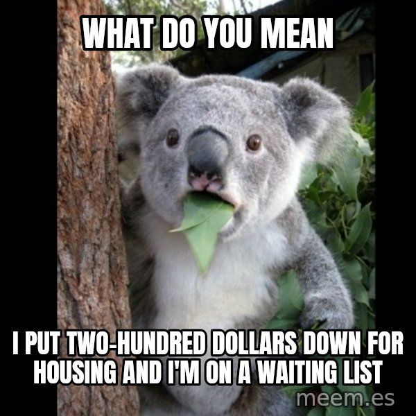 Koala can't believe it meme: What do you meAN / i put two-hundred dollars down for housing and i'm on a waiting list