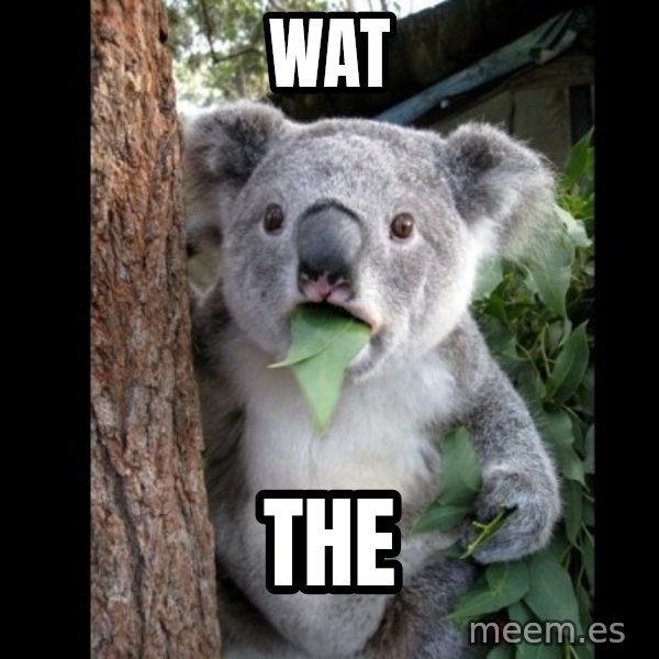 Koala can't believe it meme: Wat / The