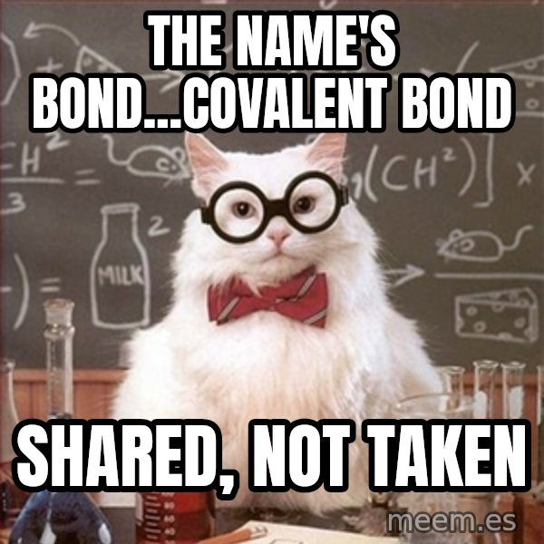 Science Cat meme: The Name's Bond...Covalent Bond / Shared, Not Taken