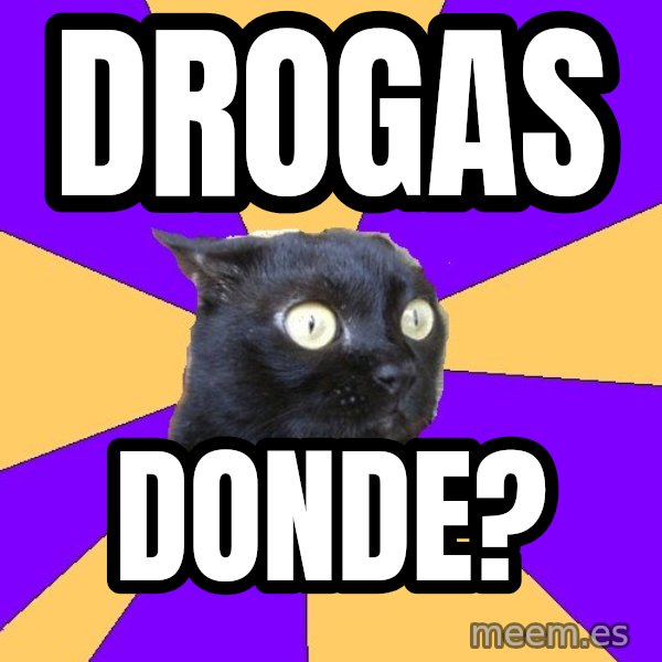 Anxiety Cat meme: DROGAS / DONDE?