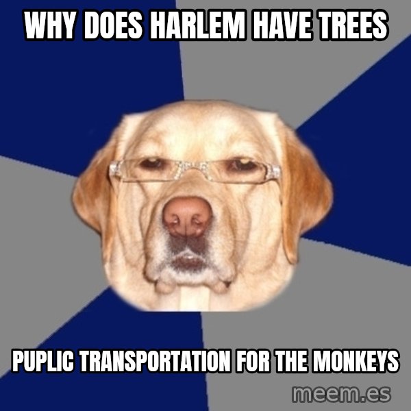 Racist Dawg meme: why does harlem have trees / puplic transportation for the monkeys