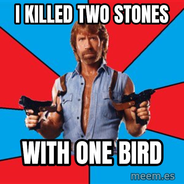 Chuck Norris  meme: i killed two stones / with one bird