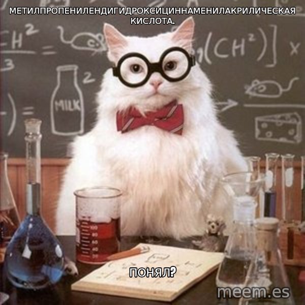 Chemistry Cat meme: Метилпропенилендигидроксициннаменилакрилическая кислота. / понял?