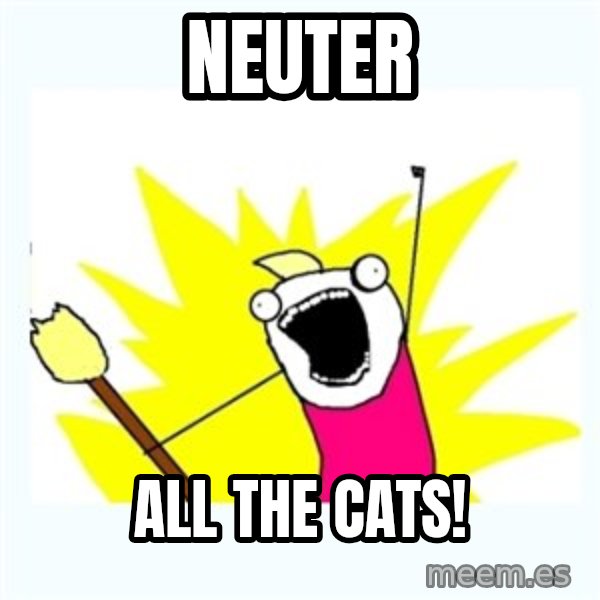 All the things meme: neuter / all the cats!