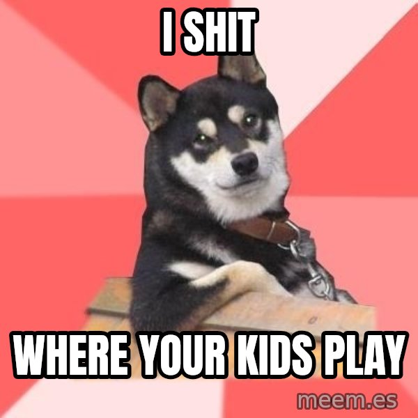 Cool Dog meme: i shit / where your kids play
