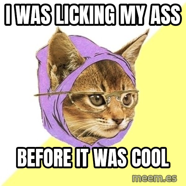 Hipster Kitty meme: i was licking my ass / before it was cool