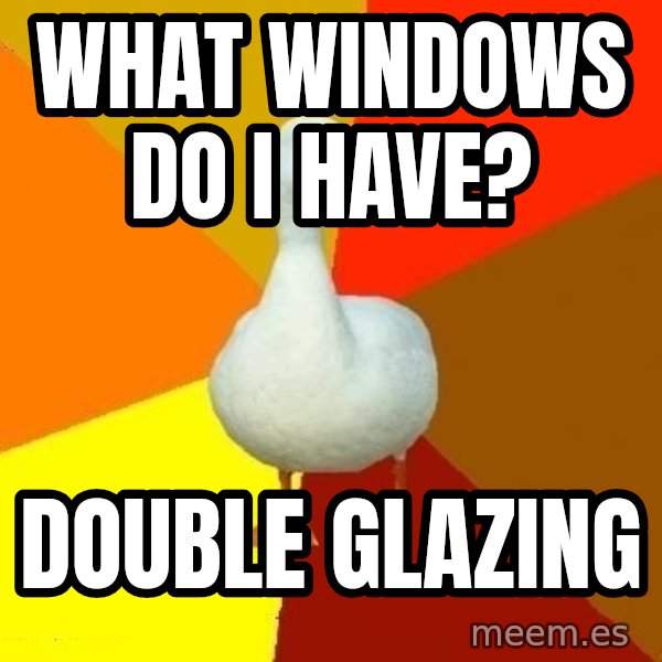 Technologically Impaired Duck meme: What windows do i have? / Double gLazing