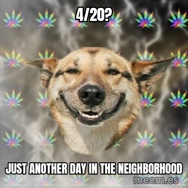 Stoner Dog meme: 4/20? / Just another day in the neighborhood