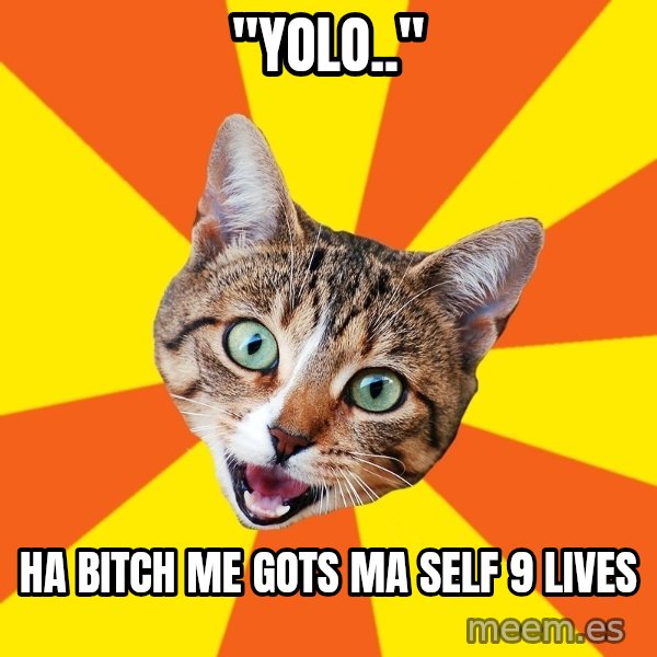 Bad Advice Cat meme: "YOLO.." / ha bitch me gots ma self 9 lives