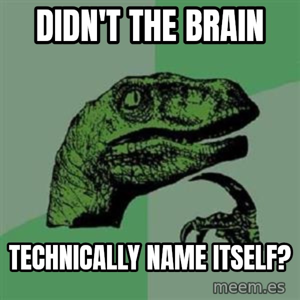 Philosoraptor meme: didn't the brain / technically name itself?