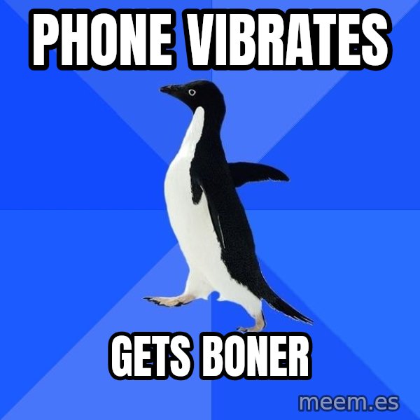 Socially Awkward Penguin meme: Phone vibrates / gets boner