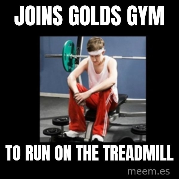 Annoying Gym Newbie meme: joins golds gym / to run on the Treadmill