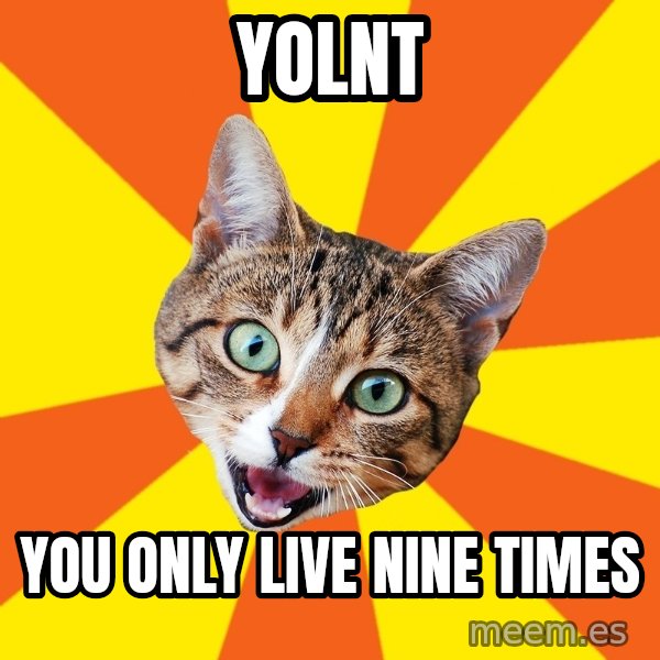 Bad Advice Cat meme: yolnt / you only live nine times