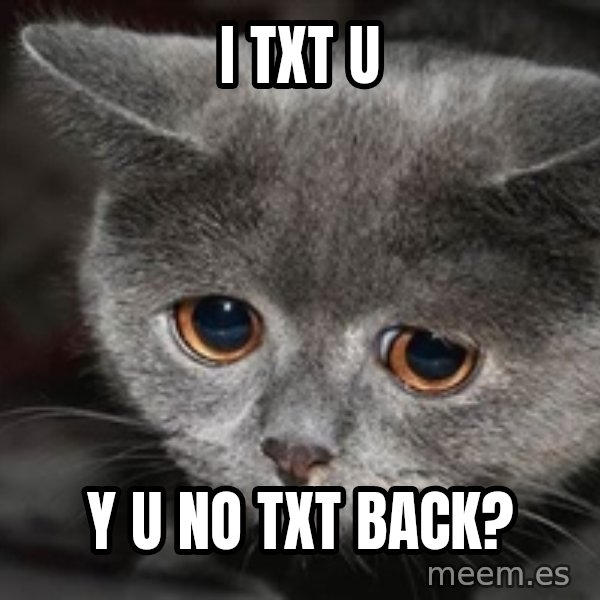 Sadcat meme: I txt u / y u no txt back?