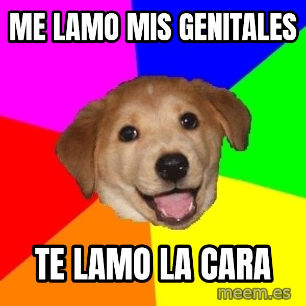 Advice Dog meme: me lamo mis genitales / Te lamo la cara