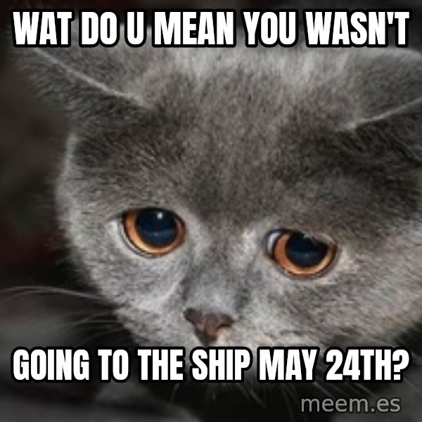 Sadcat meme: Wat do u mean you wasn't / going to The Ship May 24th?