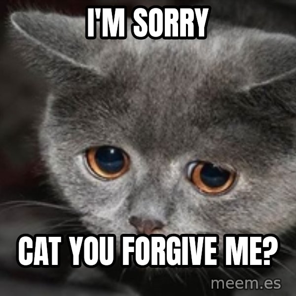 Sadcat meme: I'm sorry / Cat you forgive me?