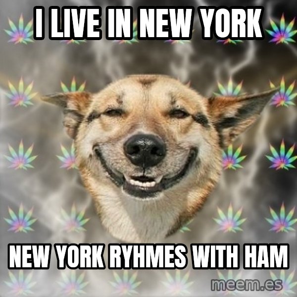 Stoner Dog meme: I LIVE IN NEW YORK / NEW YORK RYHMES WITH HAM