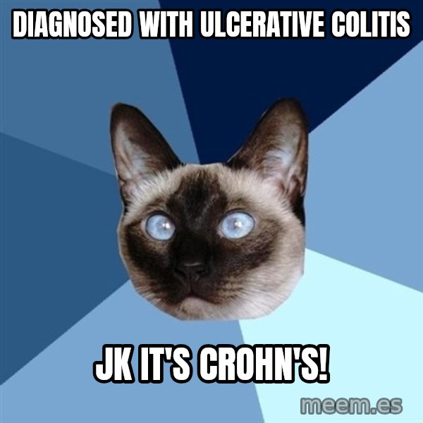 Chronic Illness Cat meme: DIAGNOSED WITH ULCERATIVE COLITIS / JK IT's CROHN'S!