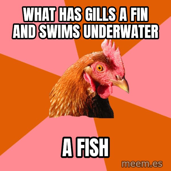 Anti Joke Chicken meme: what has gills a fin and swims underwater / a fish