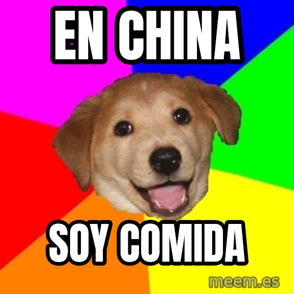 Advice Dog meme: en china / soy comida