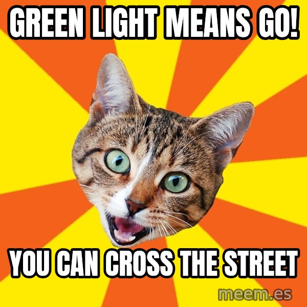 Bad Advice Cat meme: GREEN LIGHT MEANS GO! / YOU CAN CROSS THE STREET